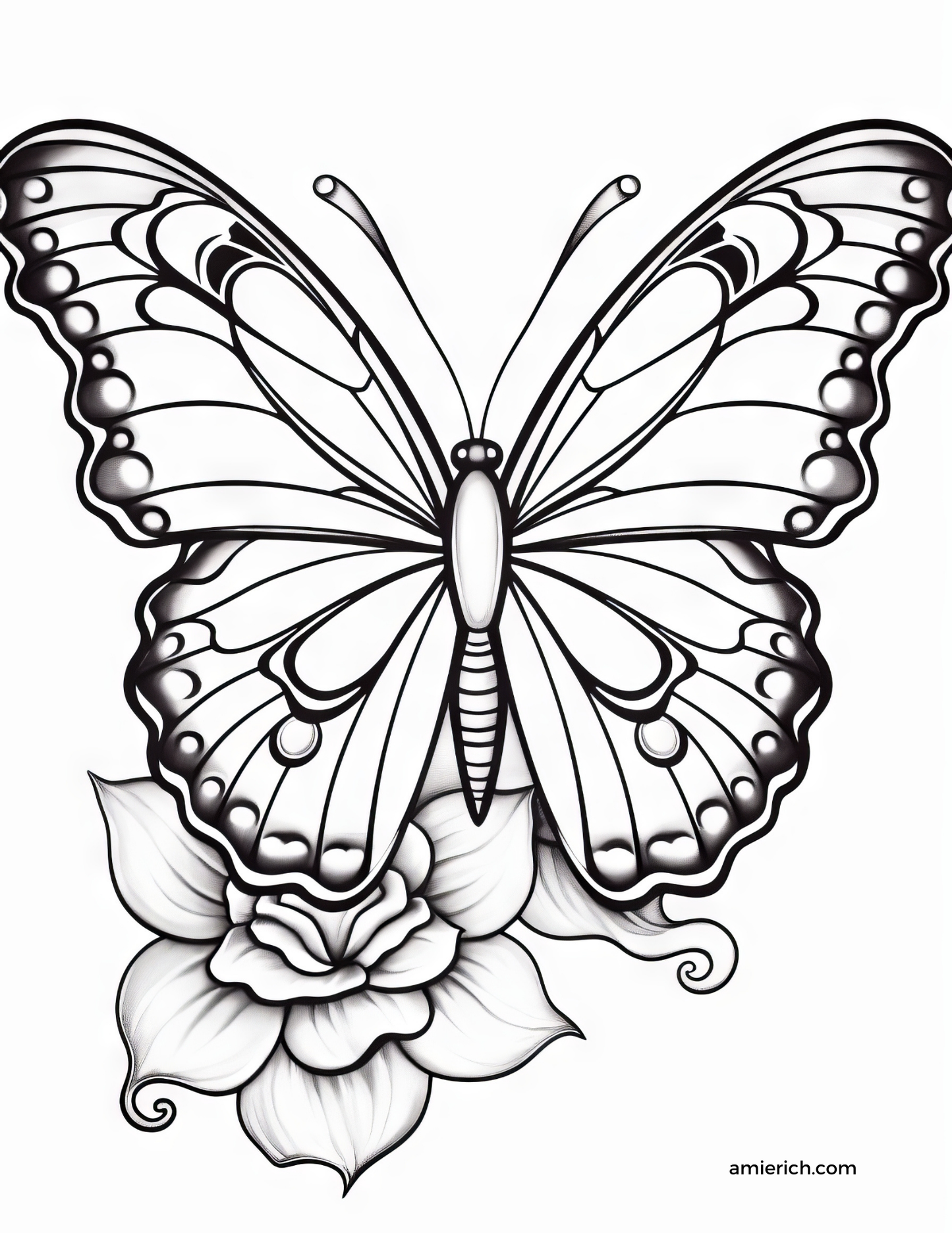 Butterflies Adult Coloring Book (print at home)