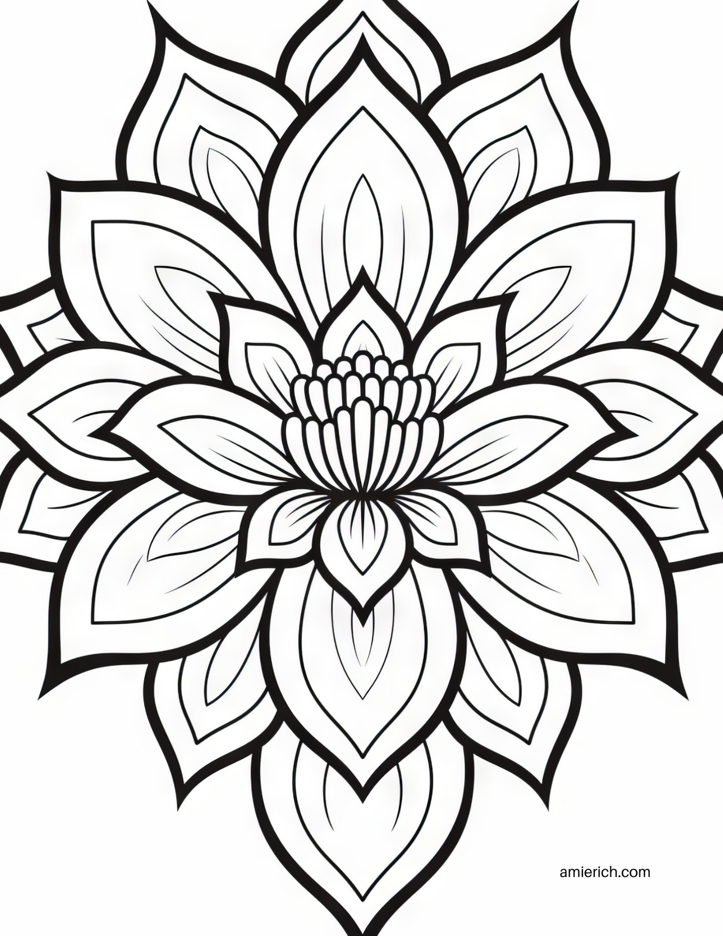 Mandala Flower Pattern Adult Coloring Book (print at home)