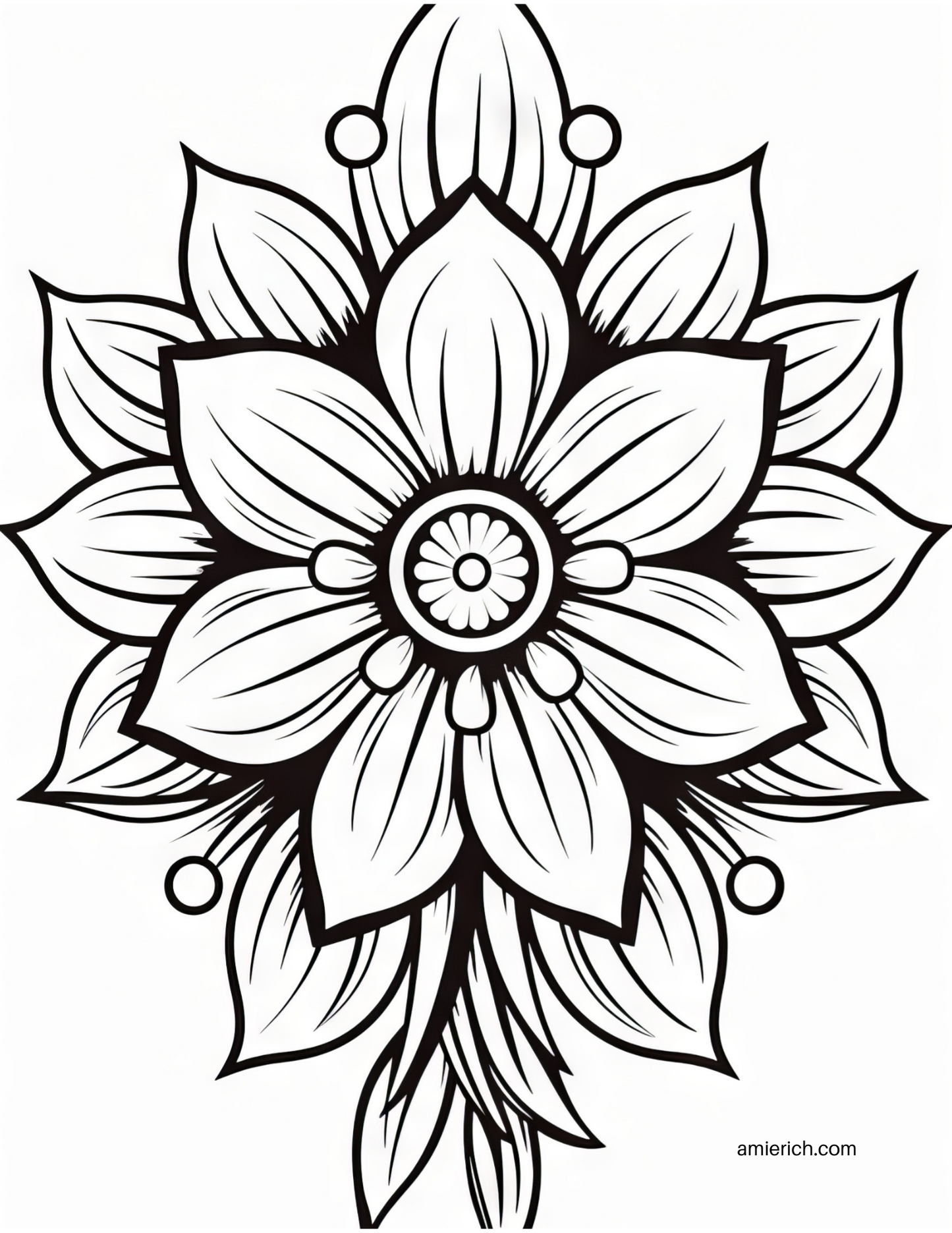 Mandala Flower Pattern Adult Coloring Book (print at home)