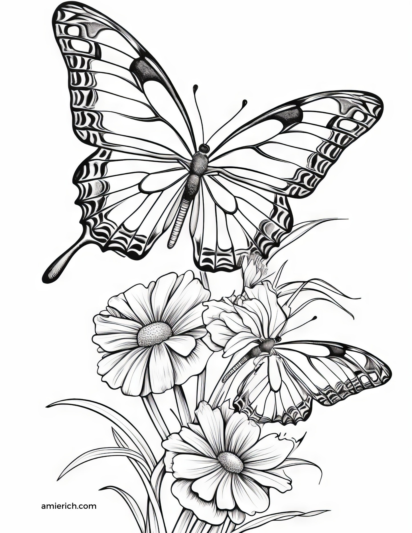 Butterflies Adult Coloring Book (print at home)